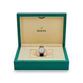 Sky-Dweller White Gold Meteorite Dial Diamond Bezel and Case image 5